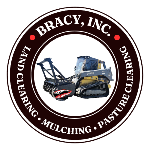 logoBracyIncTrans